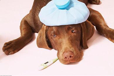 肉鸽战略游戏《特里贡：太空故事》于今日在PC端发射起飞